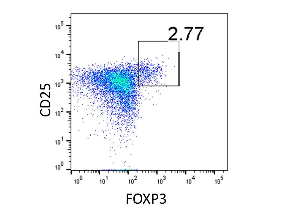 Fixation / Permeabilization Kit From BD Kit/Reagent Review
